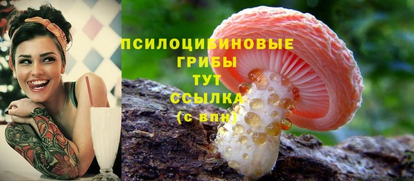 соль ск Алексин