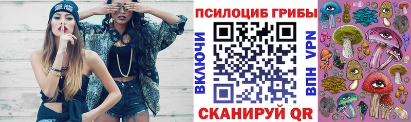 ссылка на мегу ссылки  Волоколамск  Псилоцибиновые грибы Magic Shrooms 